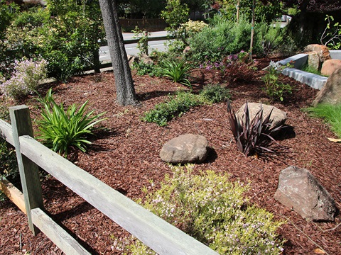 Water-conserving-landscape-analysis-project-with-drought-tolerant-plants-mulch-rocks.jpg