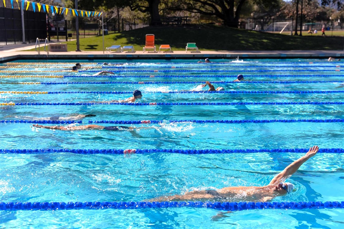 burgess-pool-lap-swimmers.jpg